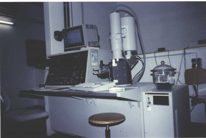 Das Rasterelektronenmikroskop (REM)